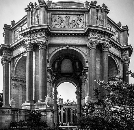 _DSC0195