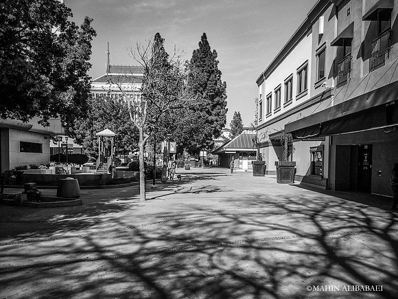 Fulton Mall